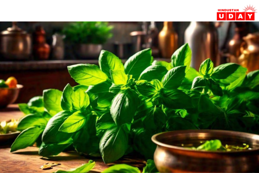 आयुर्वेदिक जड़ी-बूटियों से इम्यूनिटी बूस्ट करें