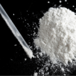 479 kg of cocaine seized in Canada under Project Pelican
